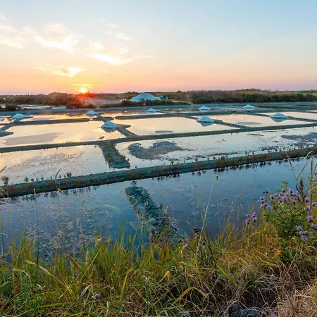 Petit - Tiny House Геранд