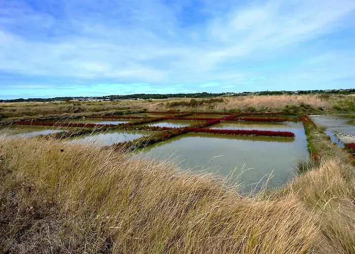 Petit - Tiny House Шале *