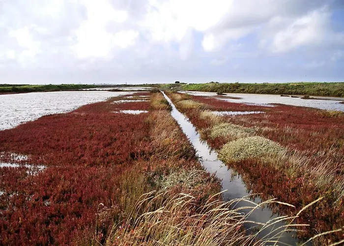 Petit - Tiny House Шале Геранд