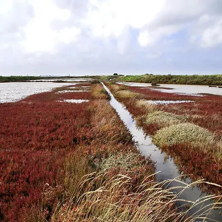 Petit - Tiny House Domek alpejski Guérande