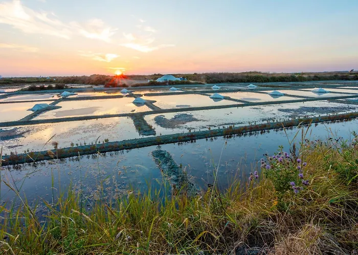 Petit - Tiny House Guérande